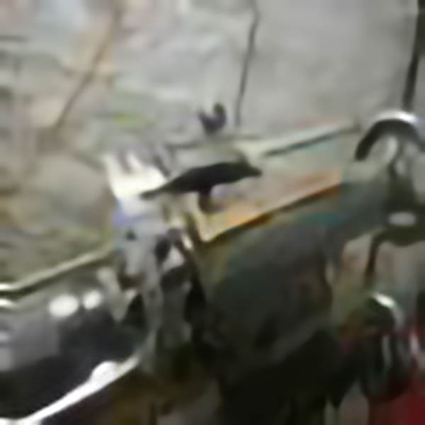 Tailstock barrel depth measurement