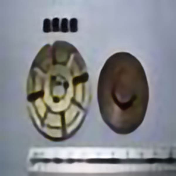 A faceplate for uncle George.