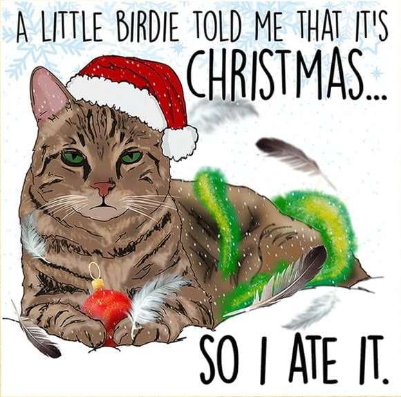 catxmascard