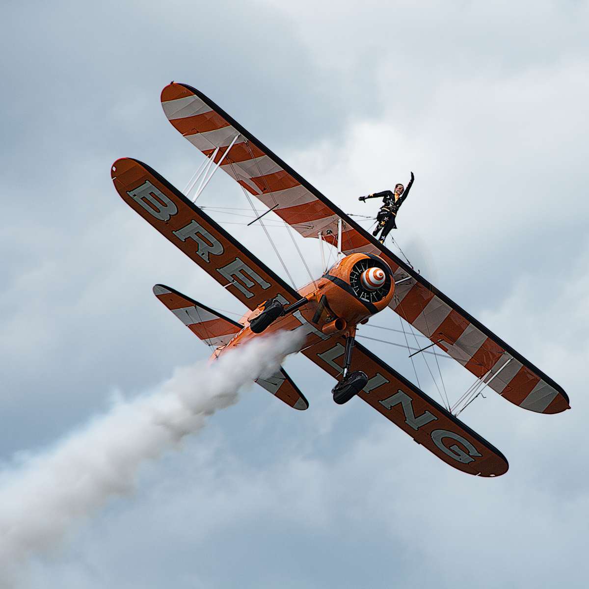 Wing_Walker_1_IMG_7337 (1)_ME