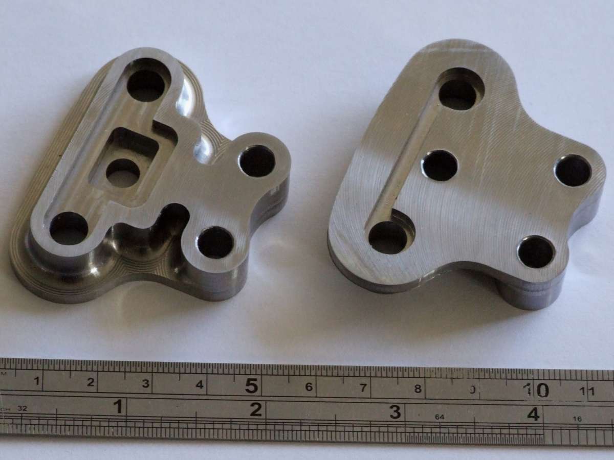 Spectacle_Plate_Bushes