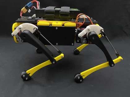 robdog