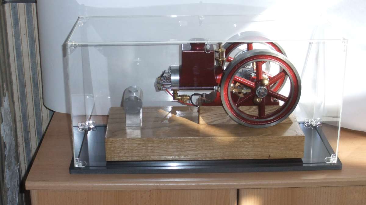 in display case (3)