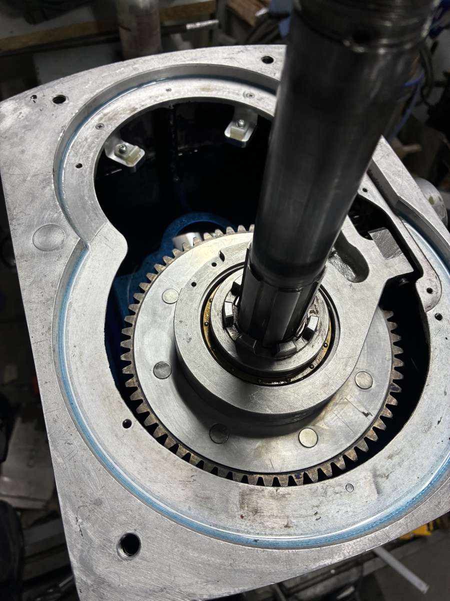Beaver 16