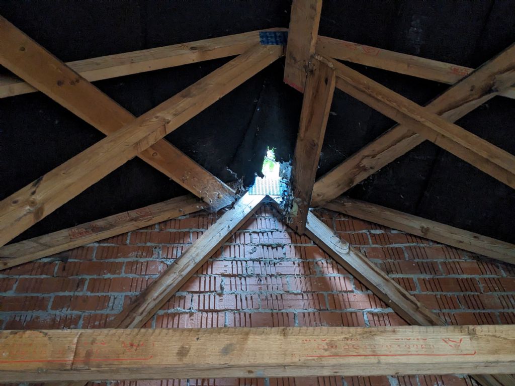Picture 1