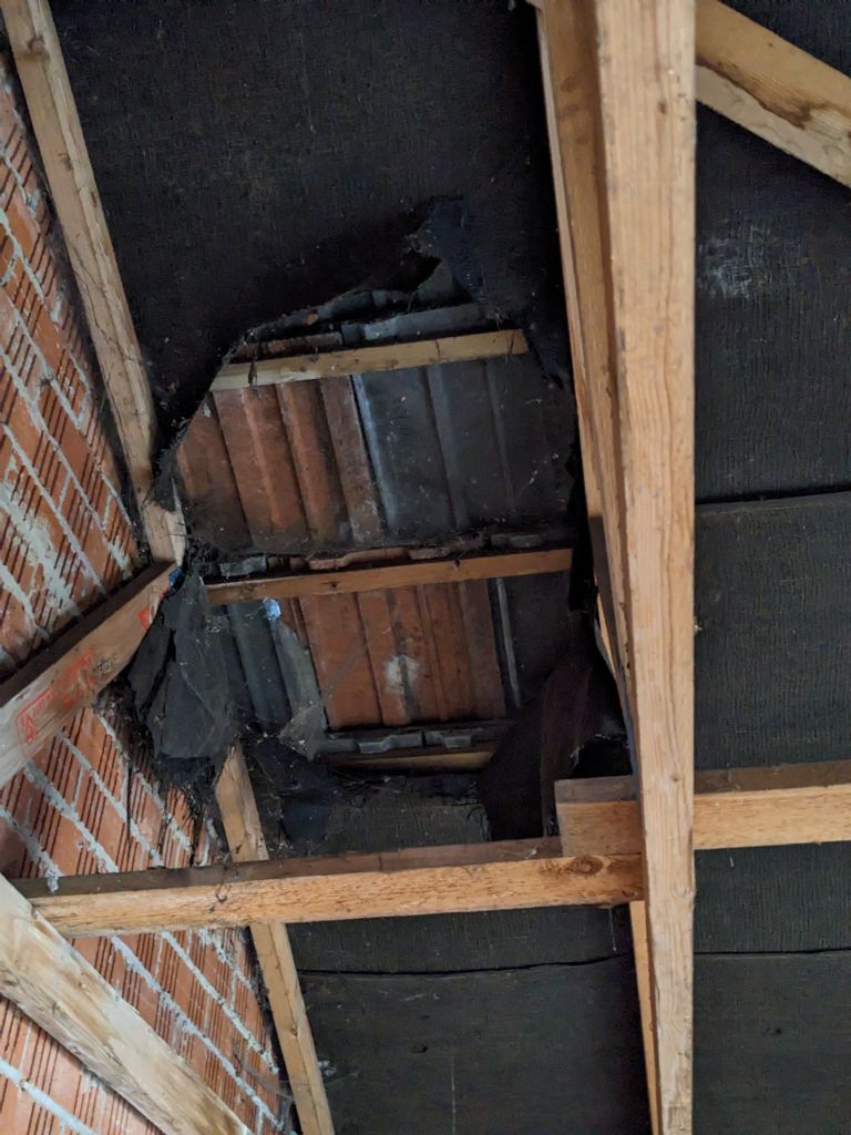 Picture 2